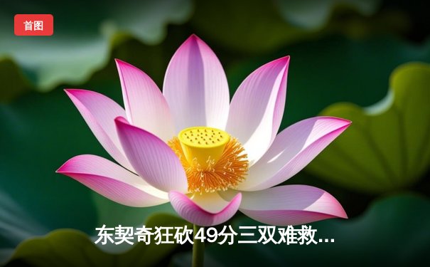 东契奇狂砍49分三双难救主，独行侠加时憾负凯尔特人